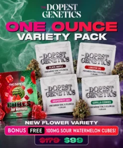 ONE OUNCE BIGS VARIETY PACK + FREE 100MG SOUR WATERMELON CUBES GUMMIES