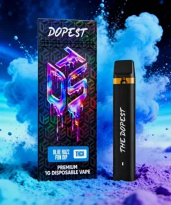 Blue Razz Fun Dip 1g THCA Vape Disposable
