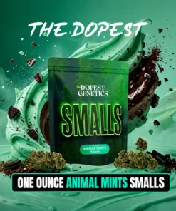Smalls: Animal Mints Indica flower 28 grams