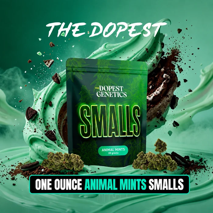Smalls: Animal Mints Indica flower 28 grams
