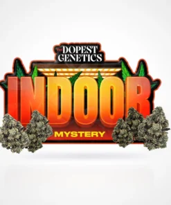 Mystery Pack 3.5g: Indoor Flower