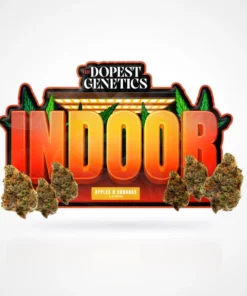 Indoor Apples N Bananas Hybrid Flower
