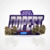 Premium BLUE DREAM Sativa Flower