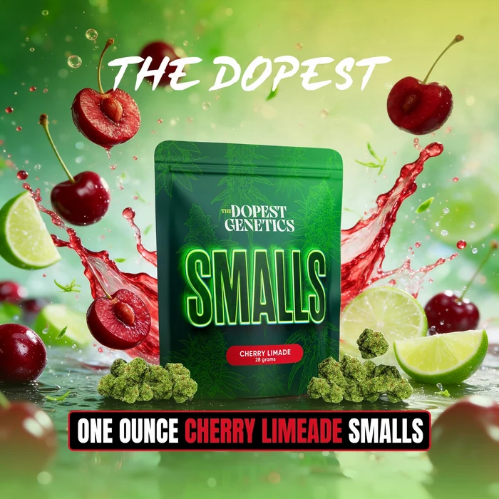 Smalls: CHERRY LIMEADE Hybrid flower 28 grams