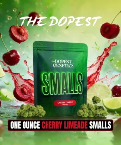 Smalls: CHERRY LIMEADE Hybrid flower 28 grams